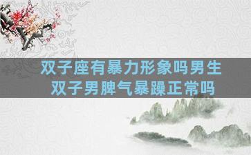 双子座有暴力形象吗男生 双子男脾气暴躁正常吗